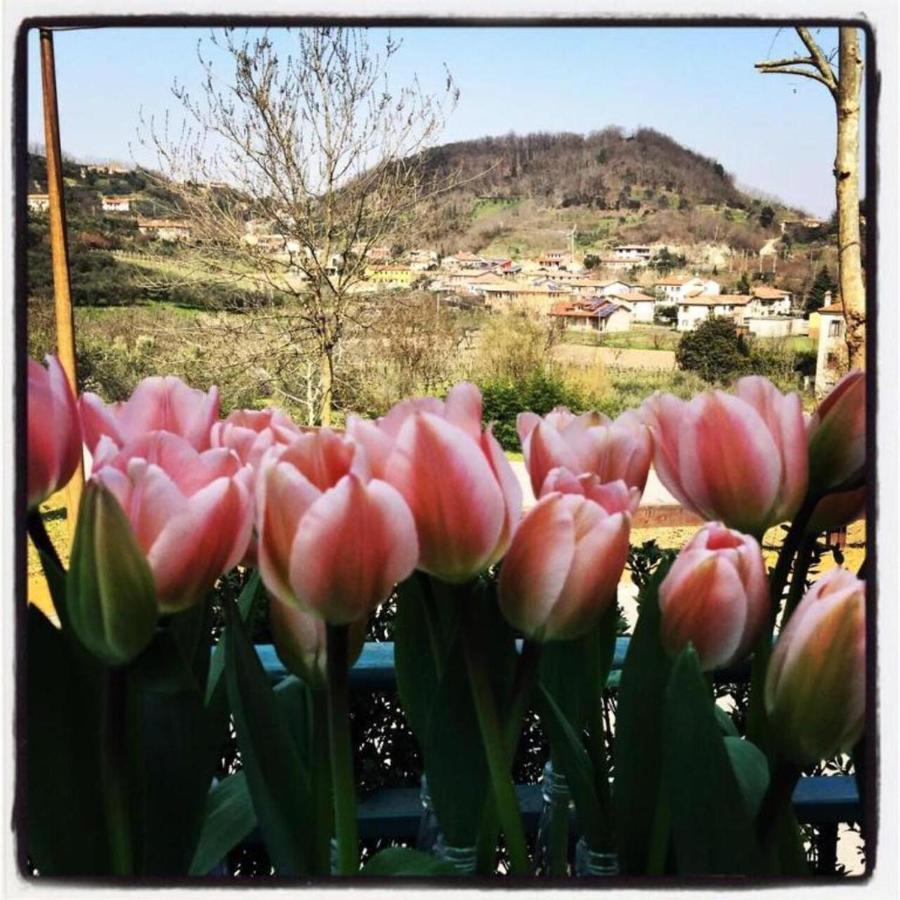 Belvedere Resort Ai Colli Galzignano Terme Exterior photo